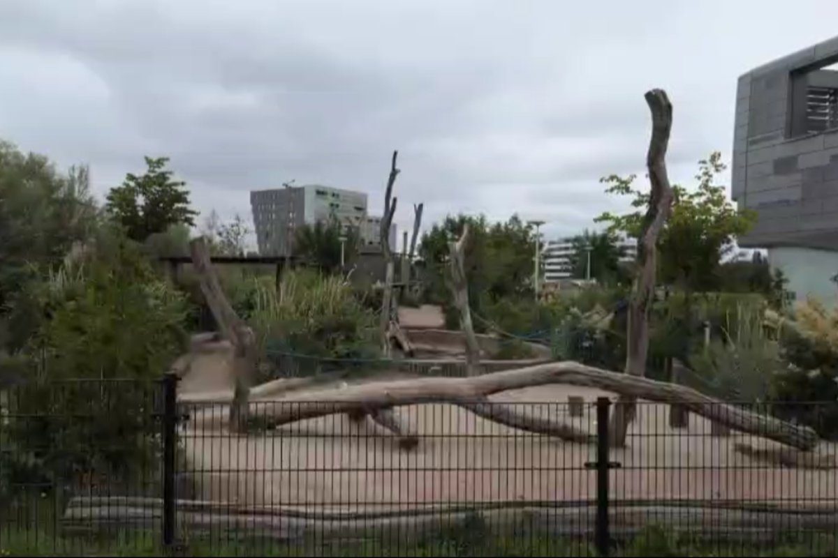 Utrecht - Leidsche Rijn - Speeltuin Pauwoogvlinder (Outdoor)